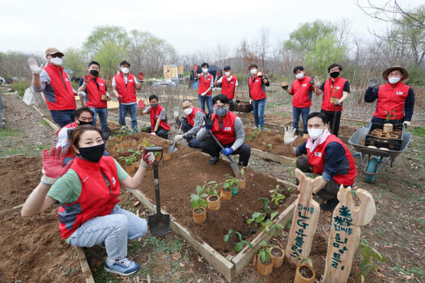 지난 2일 서울 노을공원 자람터에서 도토리나무 묘목을 옮겨 심는 LG유플러스 임직원들 사진 LG유플러스