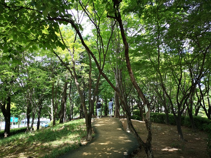 파리공원 둘레를 돌아볼 수 있는 산책로. 아파트 사이에 있다고 느껴지지 않을 만큼 나무가 울창하게 자랐다. 