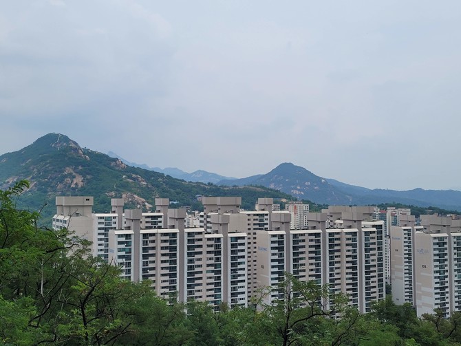 안산자락길에서 바라본 서울의 모습.. 산이 아파트 숲을 둘러싸고 있다. 사진 권해솜 객원기자.