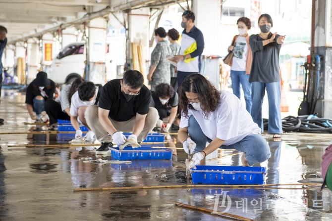오징어 3종 경기 참가자들이 오징어 손질 작업 체험을 하고 있다. 사진·울릉군