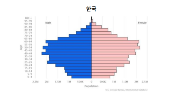   한국의 인구피라미드. 출산율 하락현상이 이 도표에서도 잘 드러난다. 