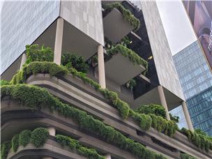 싱가포르 도심 한 호텔의 벽면 녹화. 중간층의 어반 팜(urban farm)에서 재배한 것을 식당에서 사용하기도 한다. 사진: 김기호, 2023.