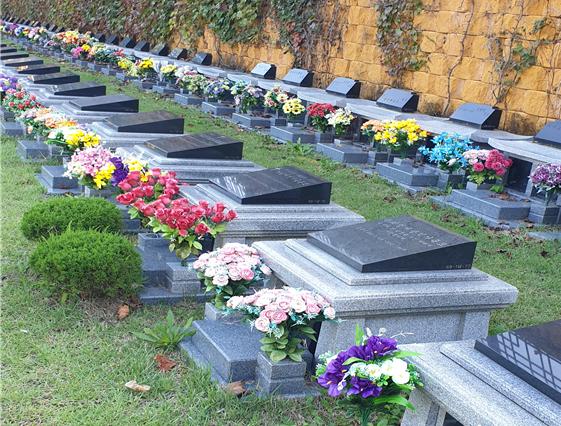 9월 24일 용인공원묘원 둘째 형님 산소 부근. 플라스틱 꽃이 만발해 있다. 사진 민경보.