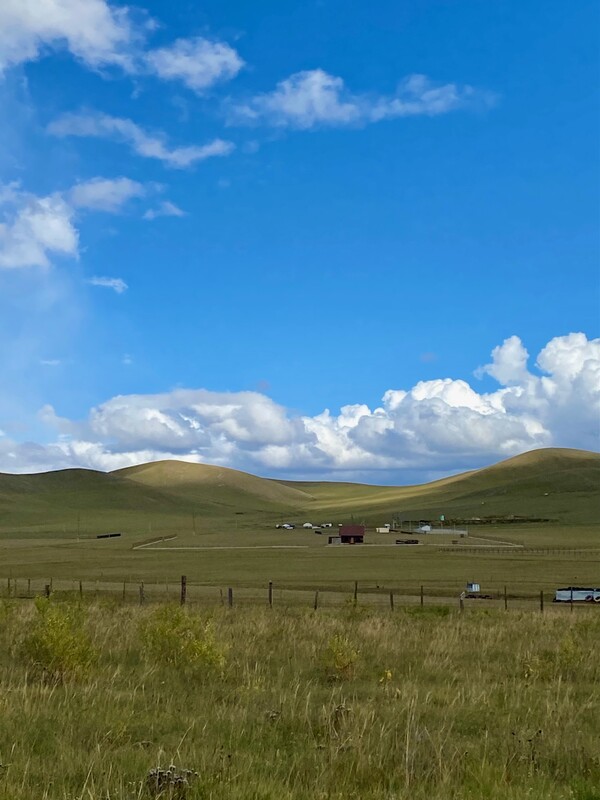  끝없이 펼쳐지는 몽골 대초원. 사진 송하슬아