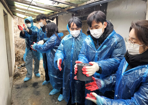 신한투자증권 신입직원들이 17일 강화도에서 봉사활동을 진행했다. / 사진=신한투자증권