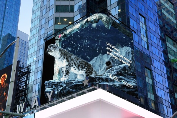 LG전자가 미국 타임스스퀘어에 기후변화로 멸종 위기에 처한 동물을 알리는 캠페인을 진행한다. 사진속 멸종 위기 동물은 눈표범. /사진=LG전자